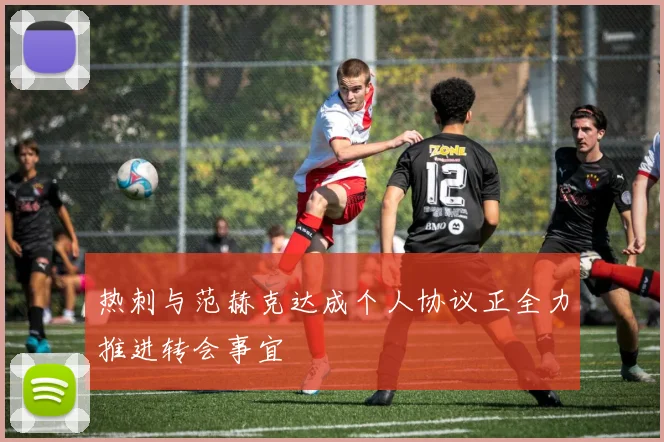 热刺与范赫克达成个人协议正全力推进转会事宜